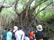 自然体験学校 沖縄校の写真2