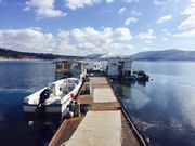 山中湖ジュピターの写真4