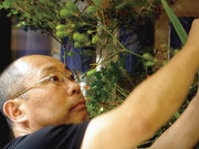 杉ア宗雲いけばな芸術教室の写真4