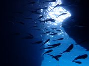 B-natureの写真4