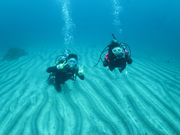 Diver's Cafeの写真2