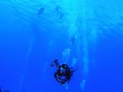 コスタ・デル・ソル ダイビングスクールの写真2