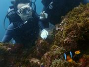 シーフロント初島の写真2