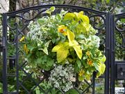 FloraRIEの写真3