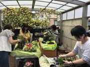 FloraRIEの写真2