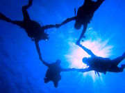 Dive Center Isles(ダイブセンターアイルズ)の写真4