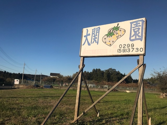 目印の看板★ここを曲がってください*_大関いちご園