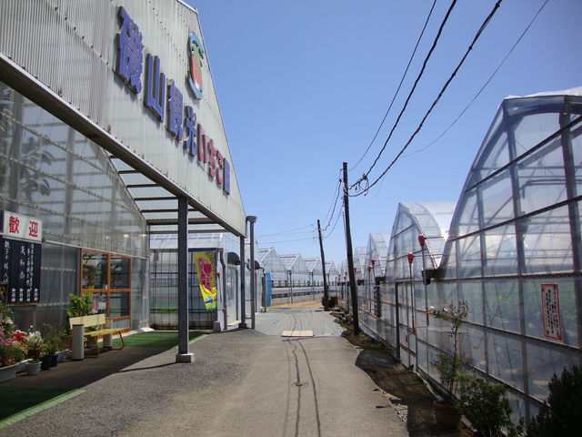 外観_磯山観光いちご園