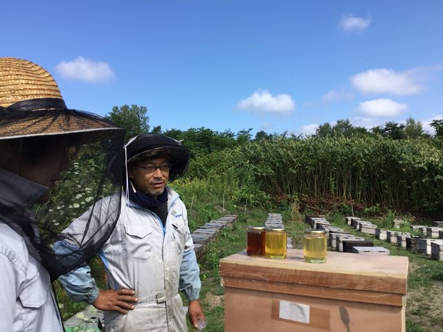 富良野の移動養蜂家(ビーキーパー)さんを訪問します。ビーキーパーと呼ばれる農業です。はちみつを収穫するのですが、さて一体どうやって?_ウレシパ・フラノ