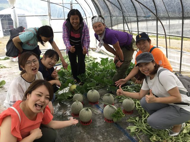 富良野メロン収穫体験。初のメロンハウス潜入に大喜び!国内外から参加いただきました。_ウレシパ・フラノ