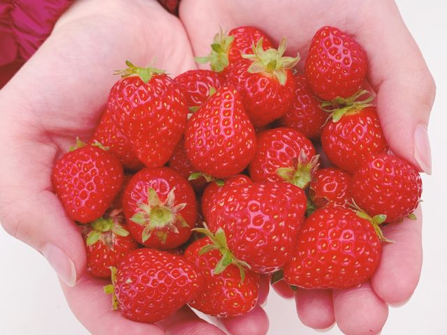 小粒イチゴは、一口で甘酸っぱいが堪能できるのでオススメ!!_MIGAKI FARM(旧ICHIGO WORLD)