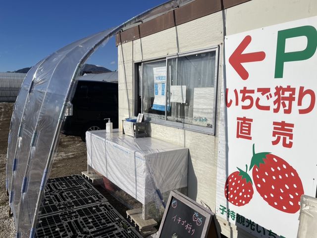いちご狩りの受付になります。_子持観光いちご園