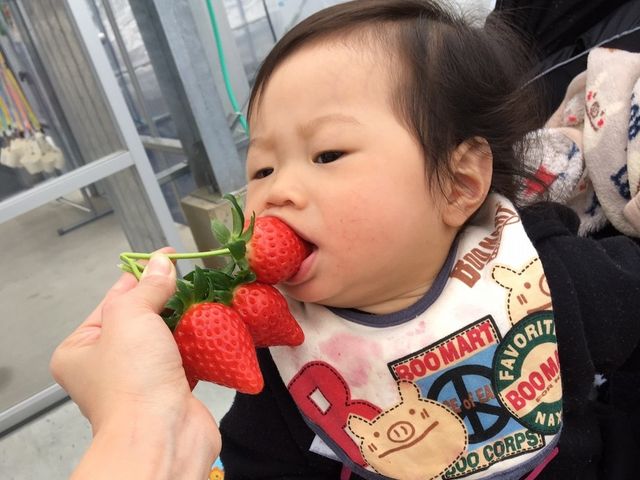 苺園いちごめぐり