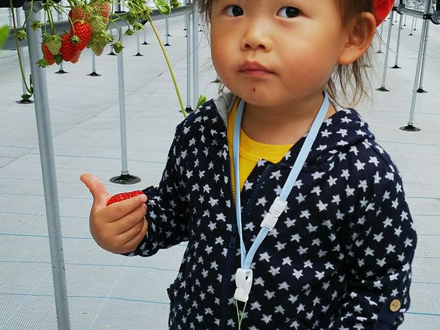 苺園いちごめぐり