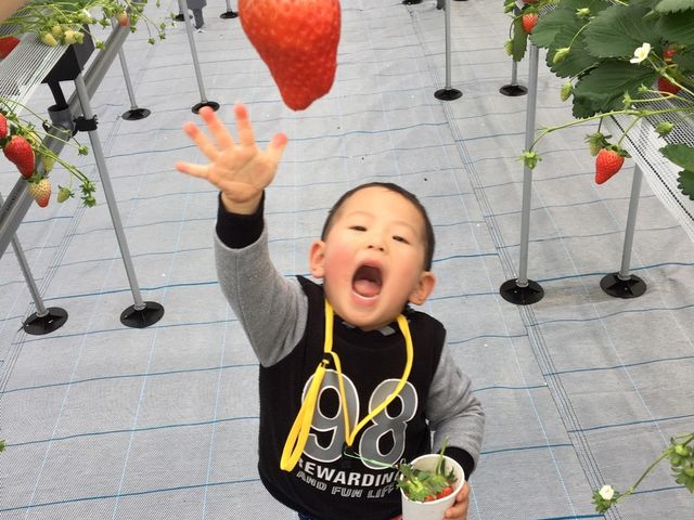苺園いちごめぐり