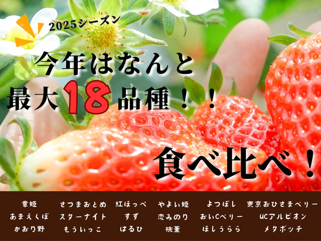 今年はなんと最大18品種の食べ比べ!!
お馴染みのいちごから初めて聞くようないちごまで多数栽培しております。_ベジタブルガーデン