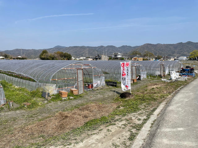 佐々木農園