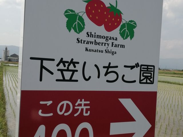 下笠いちご園
