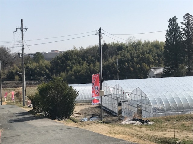 大家農園