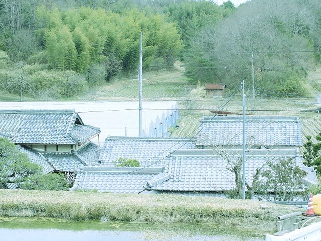 池本農園