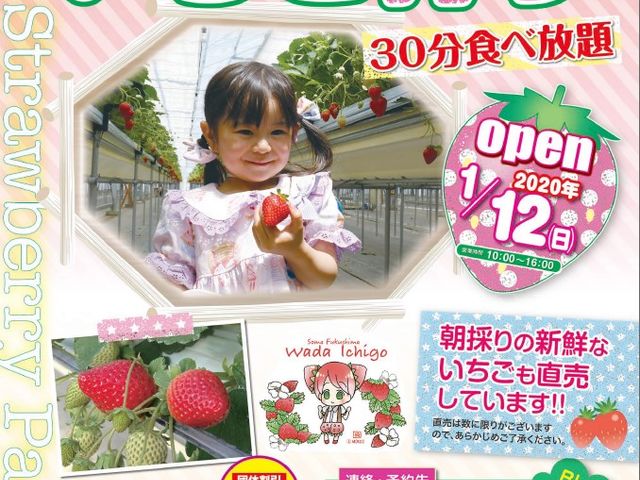 和田観光苺組合