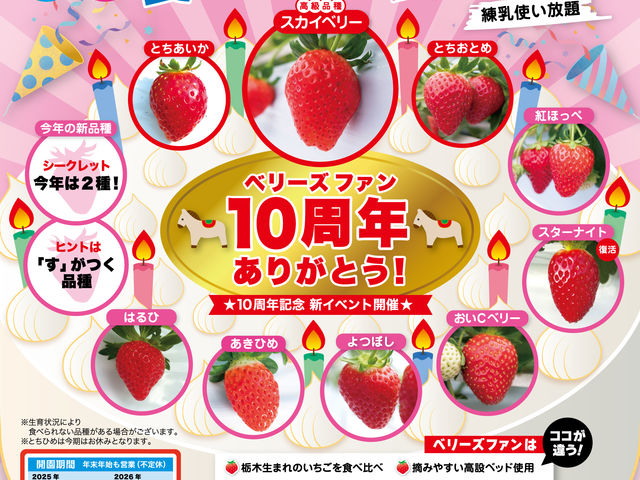 ベリーズファンの写真1