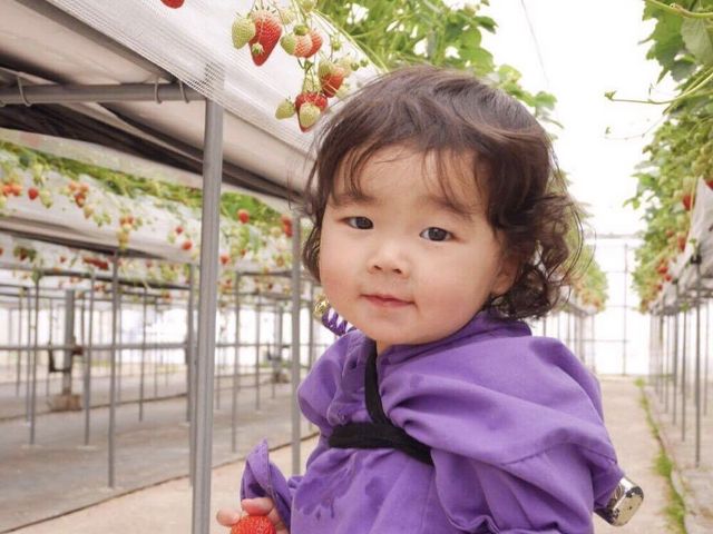 TomiBerryいちご農園