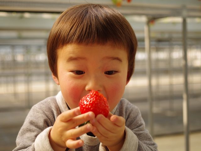 TomiBerryいちご農園