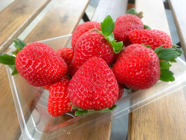 TomiBerryいちご農園