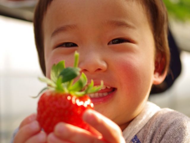 TomiBerryいちご農園