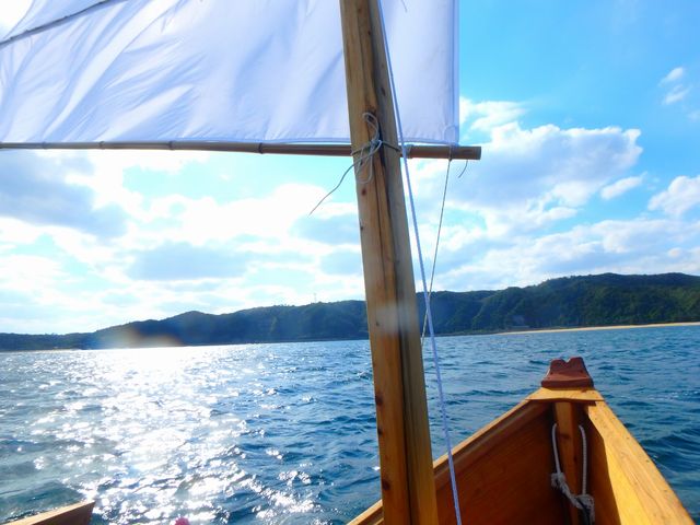 風でビューン!!_やんばるエコフィールド 島風