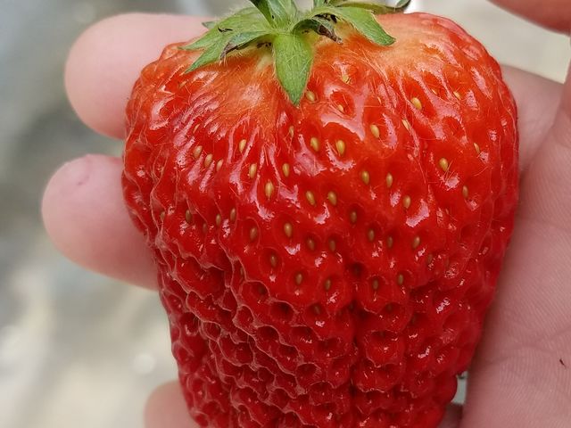 ナチュラ日野