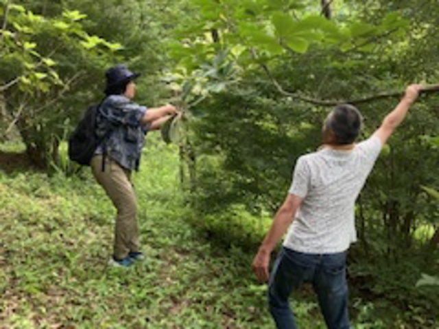 里山ハーブさんぽ_山人クラブ