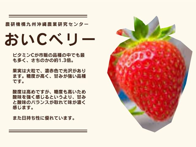 イチゴ屋けんちゃん