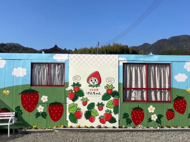 イチゴ屋けんちゃん