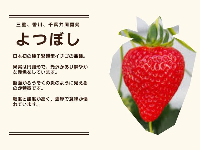 イチゴ屋けんちゃん