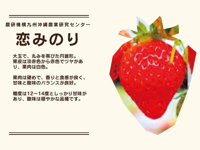イチゴ屋けんちゃん