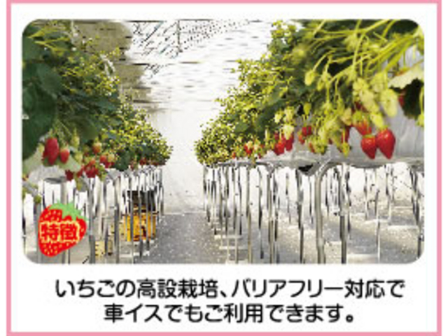 いちごドリーム江南