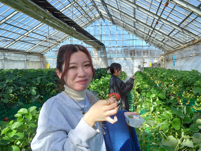 みつばちファーム