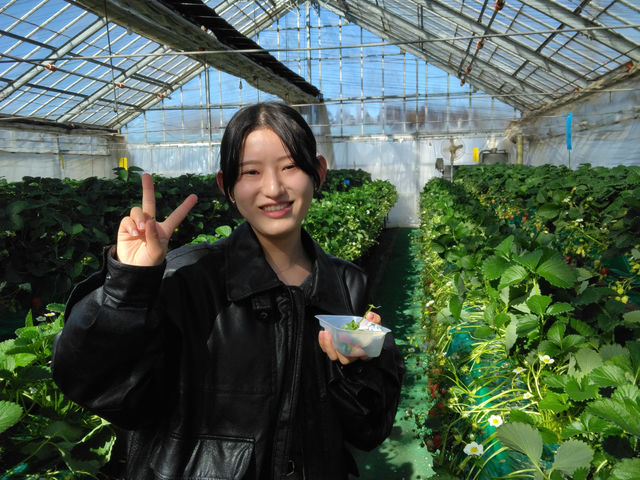 みつばちファーム