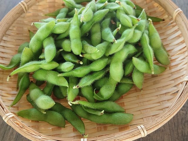 ちはる農園