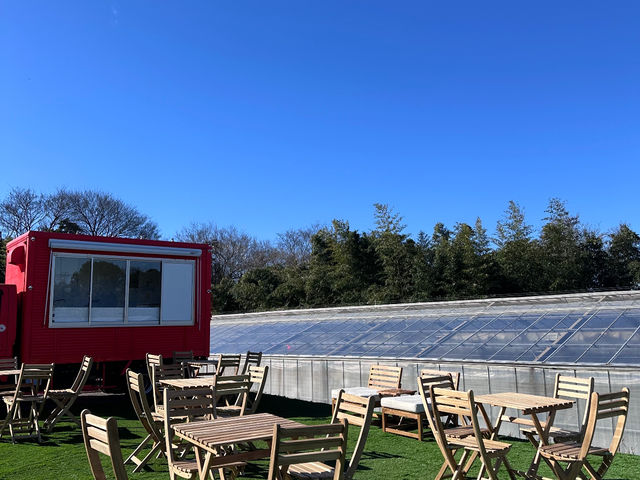 吉原いちご園