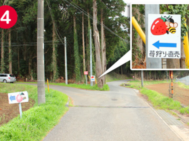 アクセスC_とけのいちご 中村農園