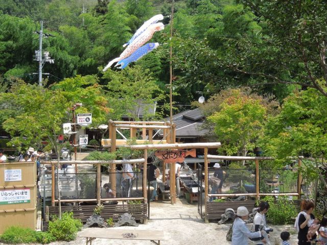 めだかの館入口です。_めだかの館