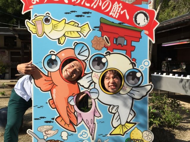 ようこそめだかの館へ。_めだかの館