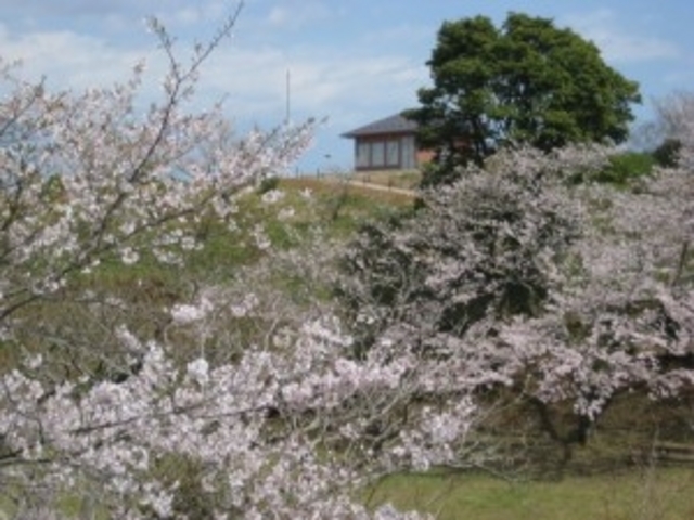 野見金公園