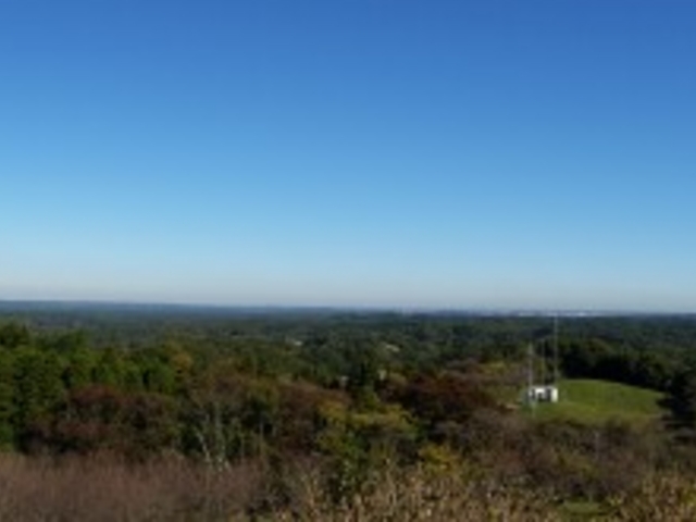 野見金公園