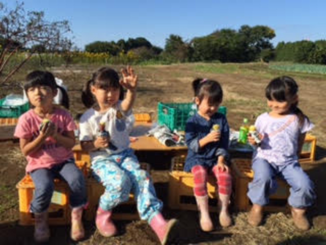 ガイヤファーム(横田ファーム)
