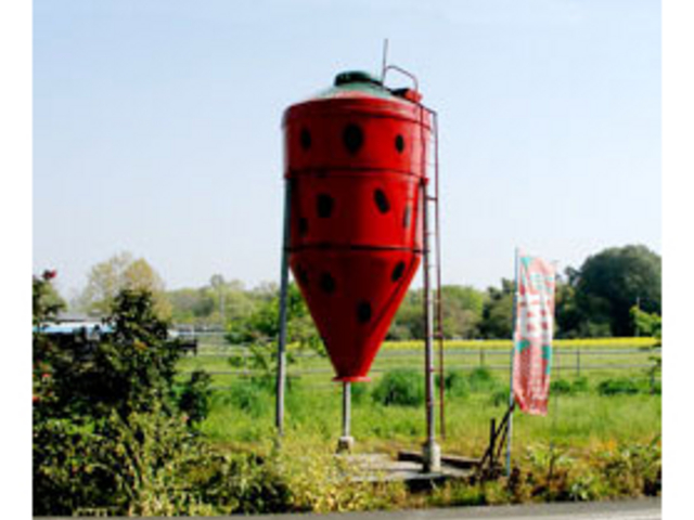 安藤農園