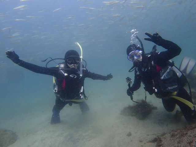DivingService 川奈日和